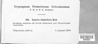 Image Associated With the Occurence